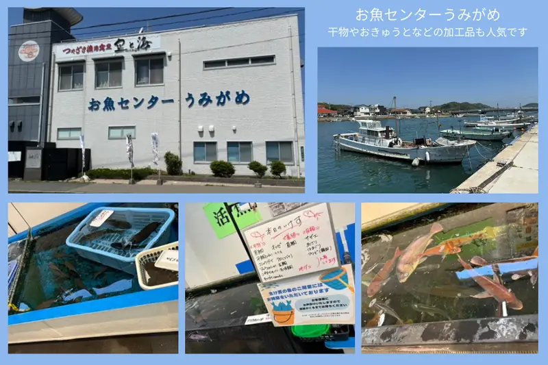Inside Umigame Fish Center in Fukutsu, Fukuoka — a fresh seafood market where locally caught fish and shellfish are sold directly to customers.