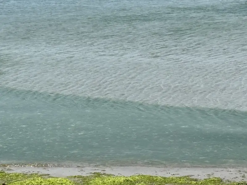 The shallow shoreline of Tsuyazaki in Fukutsu, Fukuoka, with clear, calm water shading from pale green to soft blue.