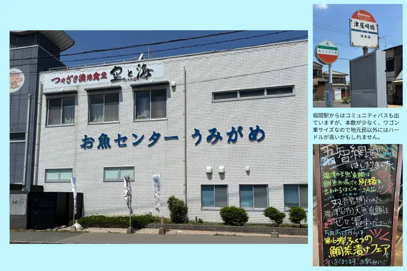 Umigame Fish Center: A Seaside Market Brimming with the Fresh Local Catch