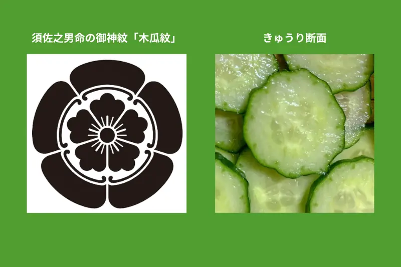 Comparison of the mokko crest and a sliced cucumber
