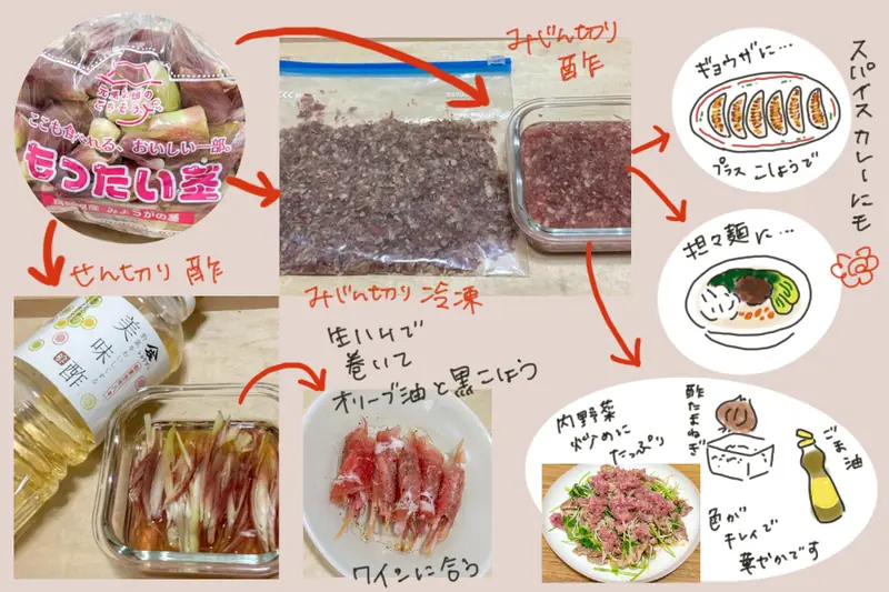 Image showing ways to use myoga, including freezing, pickling, and serving it as a garnish