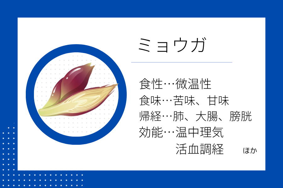 An illustration summarizing the medicinal properties of “ Late Summer Dietary Therapy: Myoga” showing a myoga image along with its nature, flavor, meridian tropism, and functions.