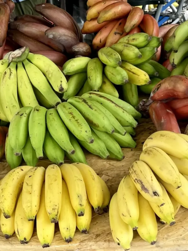Various bananas in green, yellow, and reddish colors displayed together