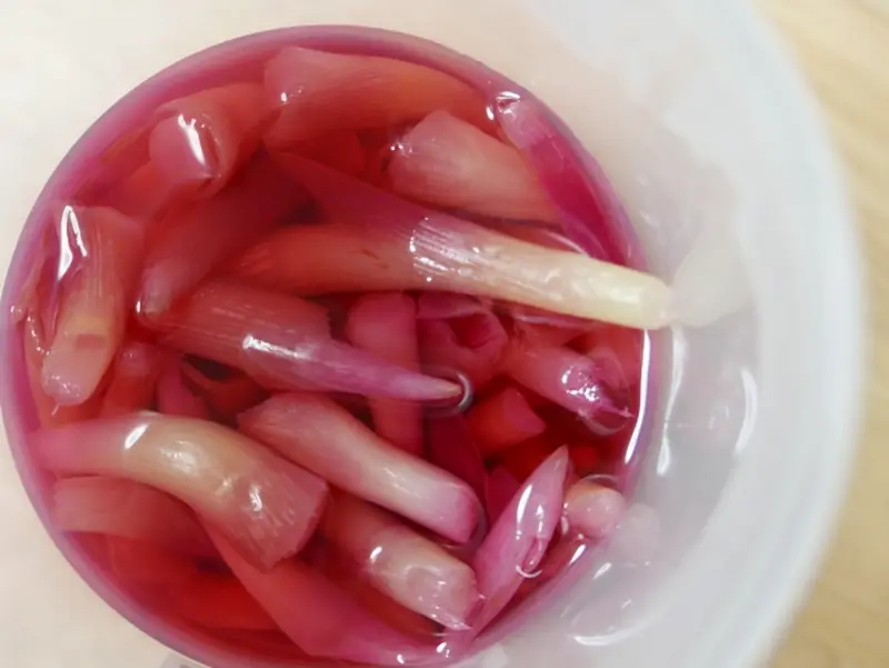 Overhead photo of pickled myoga turned pink in vinegar
