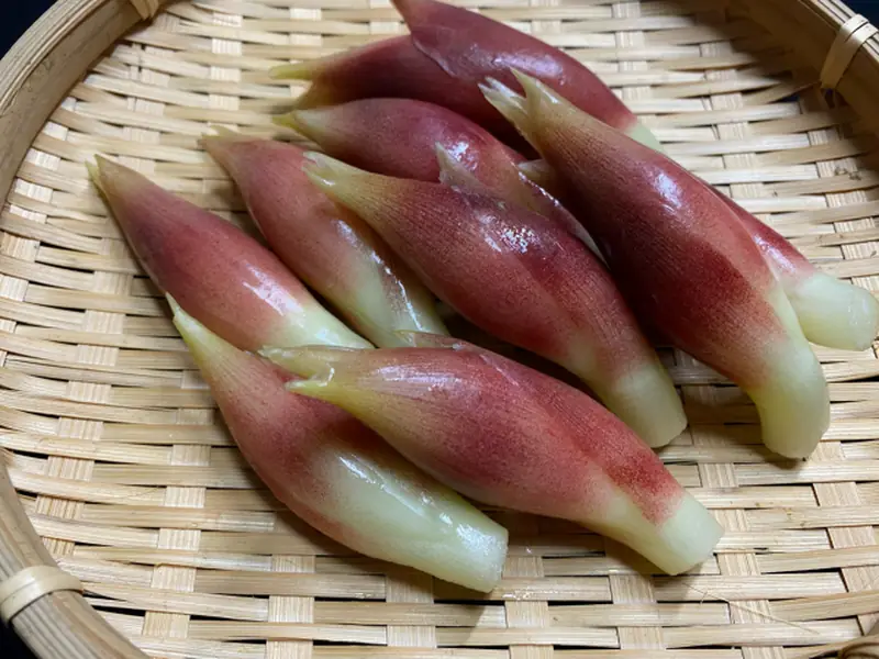 Alt text: Reddish-purple myoga arranged on a bamboo tray